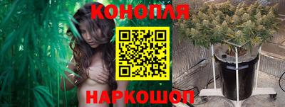 гидропоника Кизилюрт