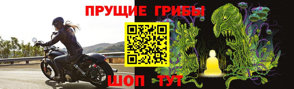Галлюциногенные грибы прущие грибы Екатеринбург