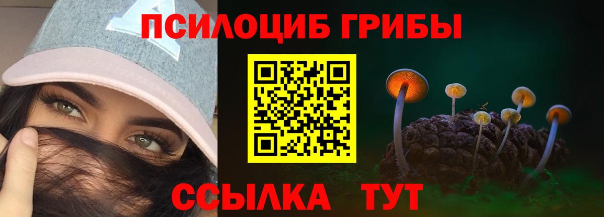 Екатеринбург  Псилоцибиновые грибы прущие грибы  Вход с VPN 